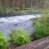 Review photo of Park Creek Campground by Danielle S., October 19, 2019