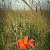 Review photo of Kilpatrick Hammock Campground — Kissimmee Prairie Preserve State Park by Rich S., October 19, 2019