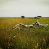 Review photo of Kilpatrick Hammock Campground — Kissimmee Prairie Preserve State Park by Rich S., October 19, 2019