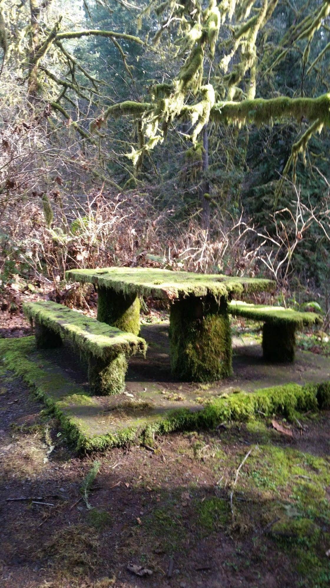Camper-submitted photo at Waterloo County Park near Foster, OR