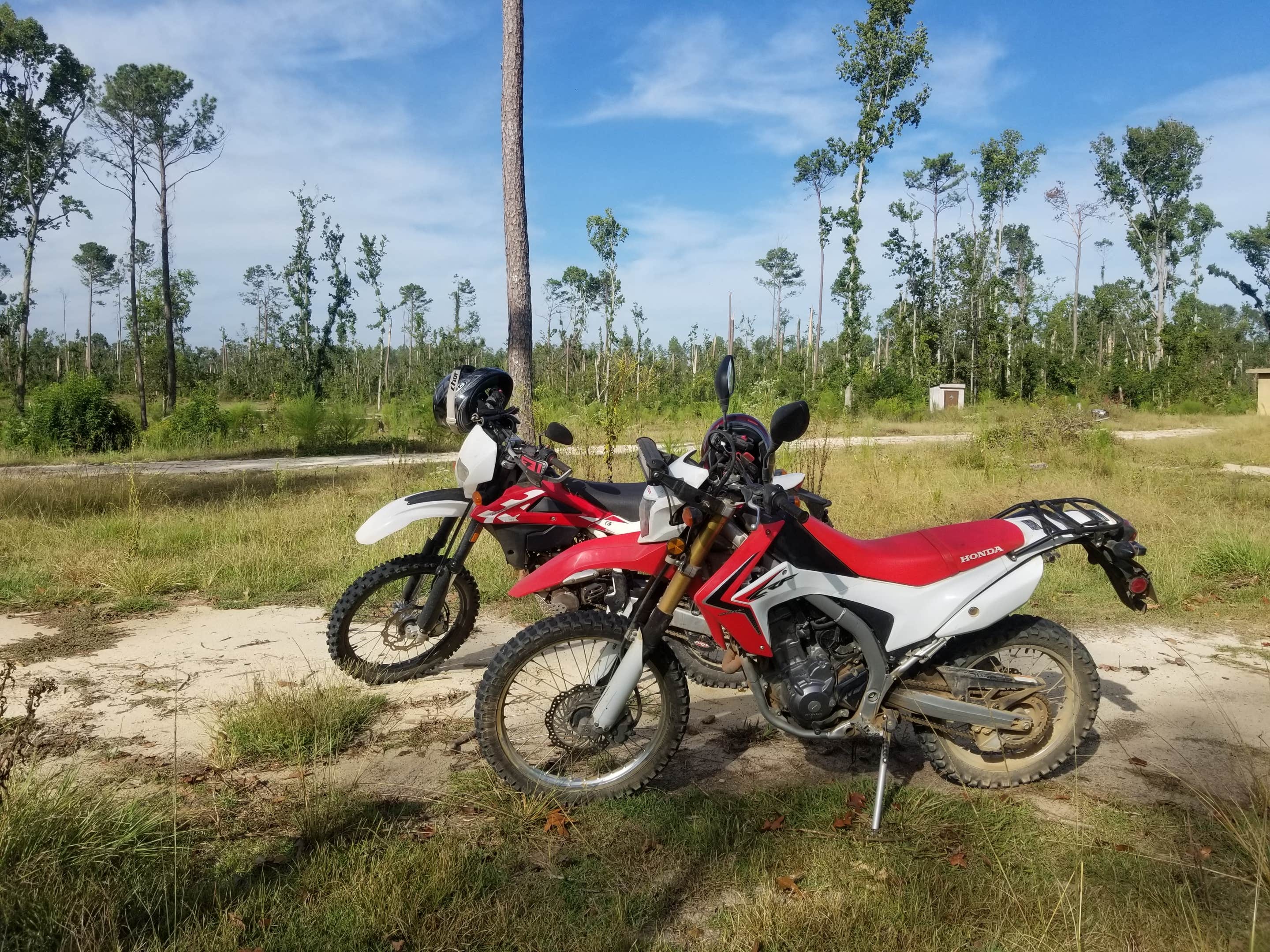 Camping near Fins and Feathers Campground: Neals Landing Park, Black Butte Lake, Florida