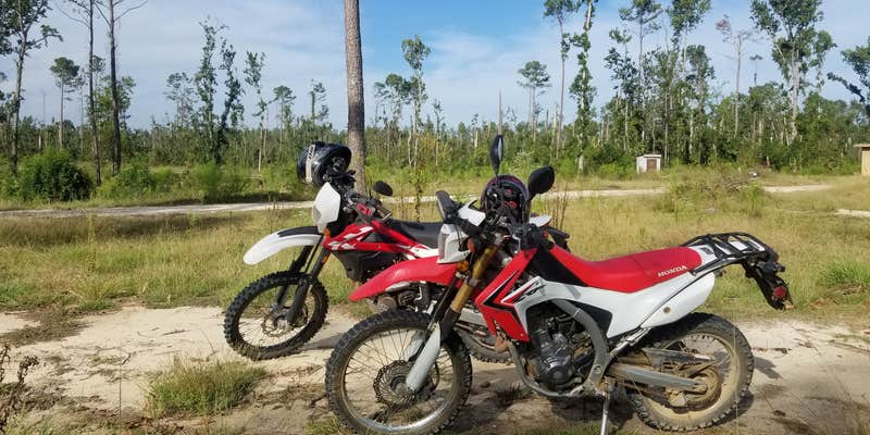 Camper submitted image from Neals Landing Park