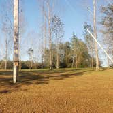Review photo of Lamplight Lane RV Resort at Glen Oaks by Angie  R., October 19, 2019