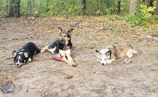 Kathryn H.'s photo of camping with pets at Perrot State Park Campground near Bangor, WI
