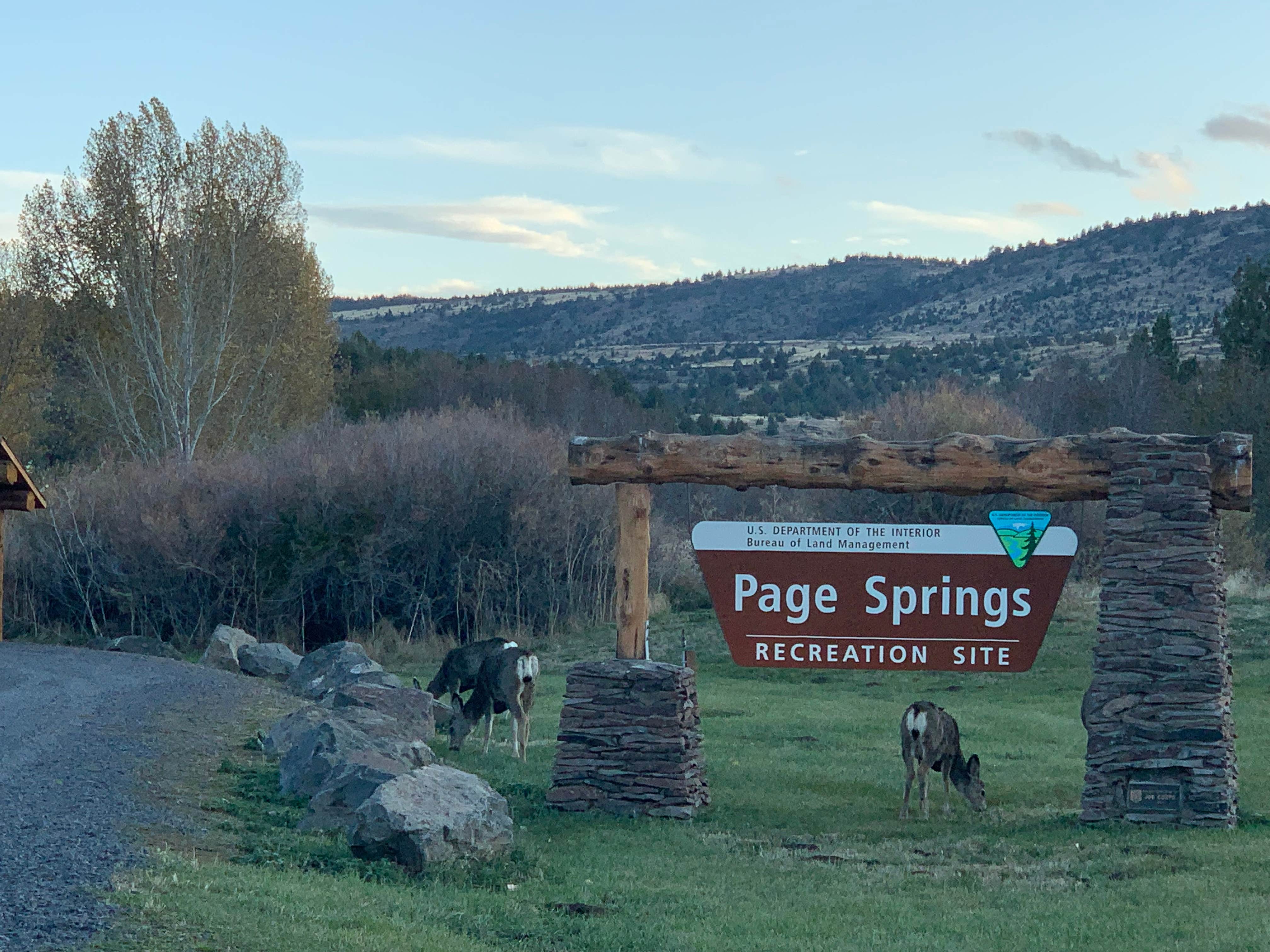 Camper submitted image from Page Springs Campground - 5