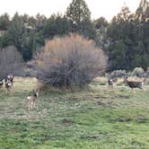 Review photo of Page Springs Campground by Erik R., October 20, 2019