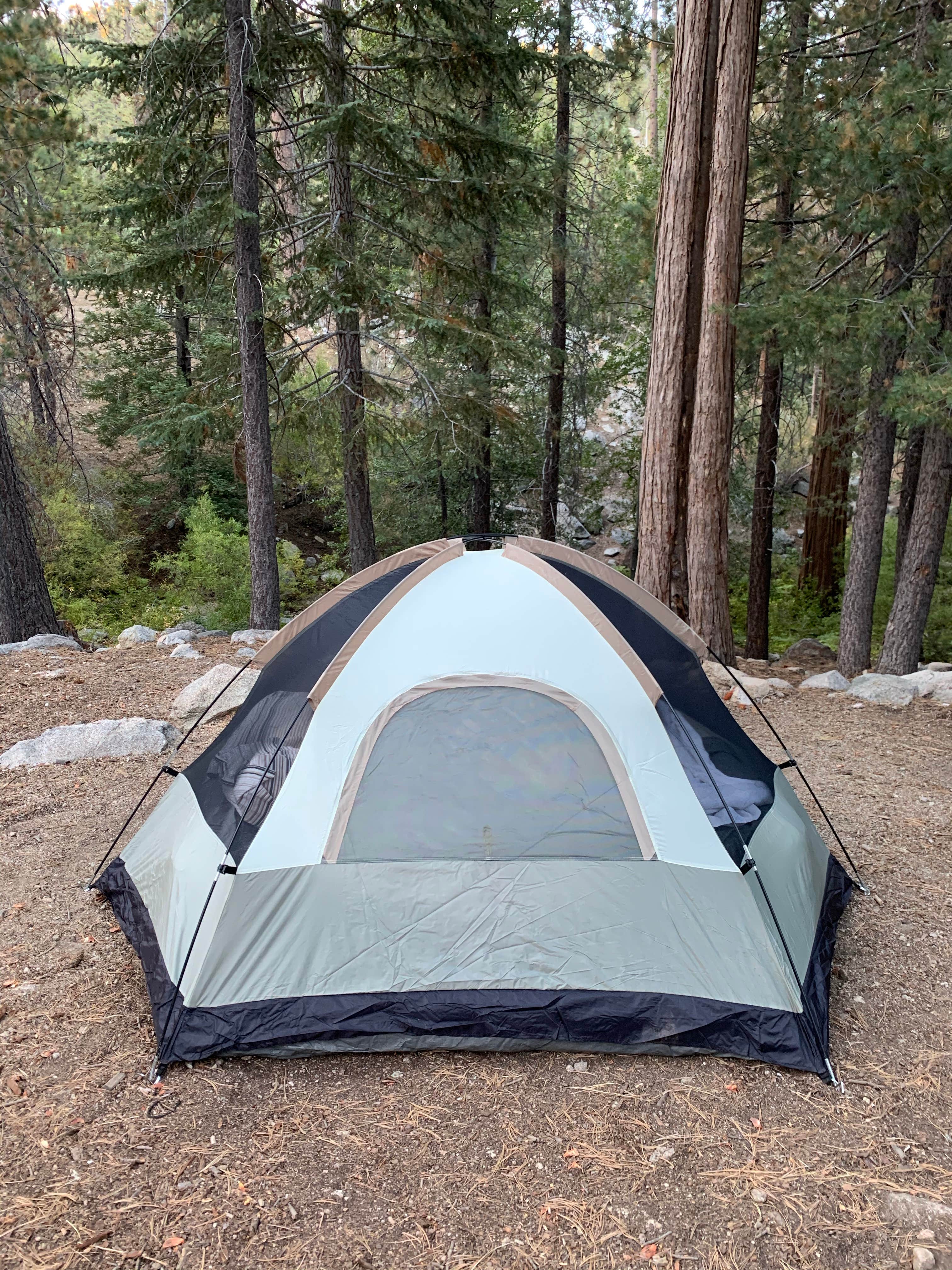 Amy D.'s photo at Buckhorn Campground near Valyermo, CA