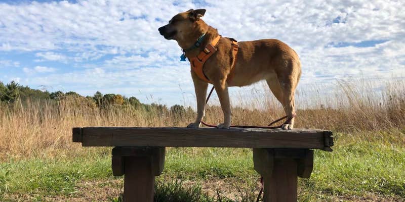 Camper submitted image from Paul Wolff Campground