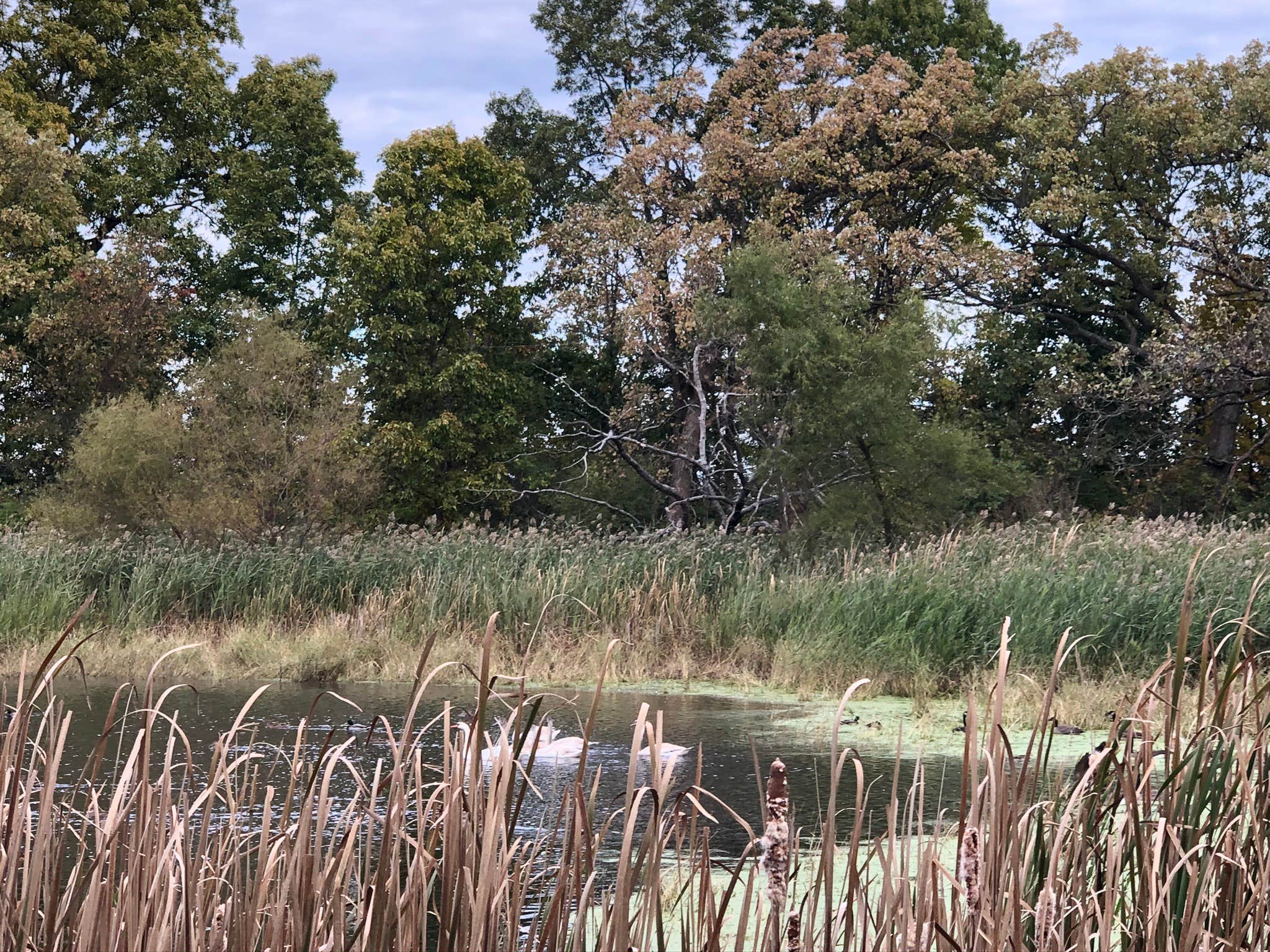 Hike around small ponds