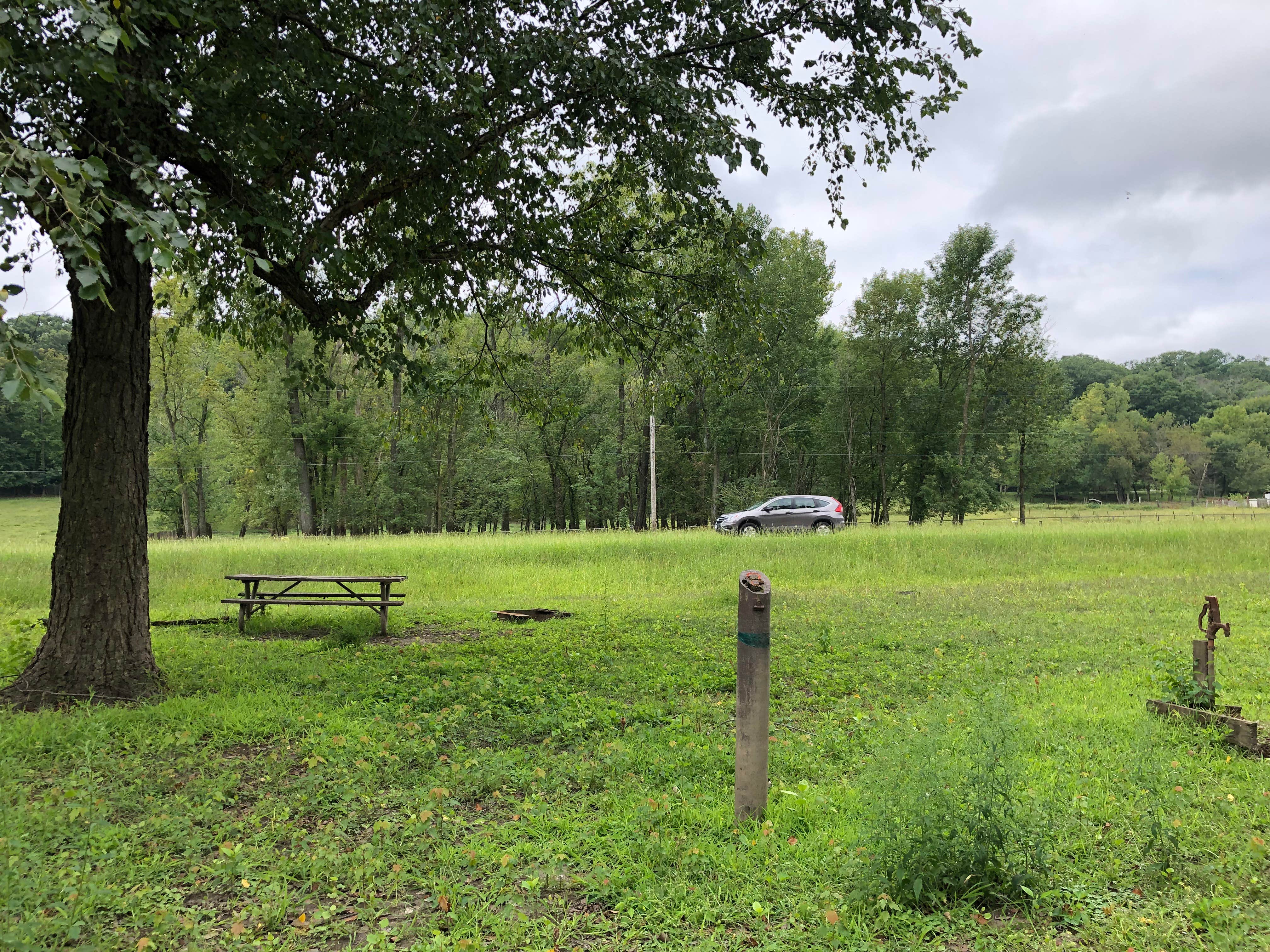 Camper submitted image from Andalusia Slough - 3