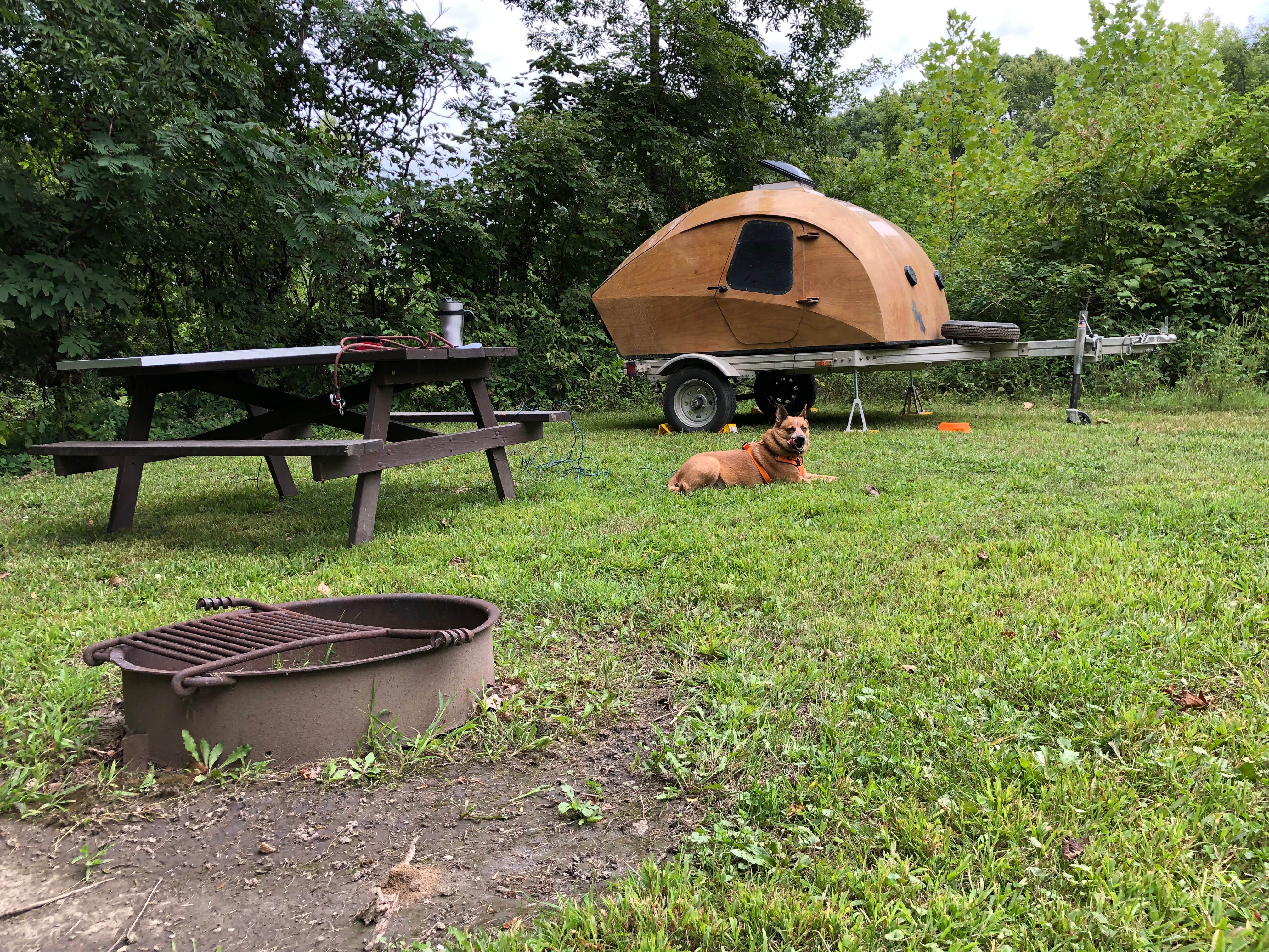 Camper submitted image from Riverview Campground - Loud Thunder Forest Preserve - 5
