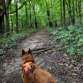 Review photo of Loud Thunder Forest Preserve by Art S., October 20, 2019