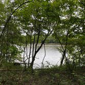 Review photo of Loud Thunder Forest Preserve by Art S., October 20, 2019