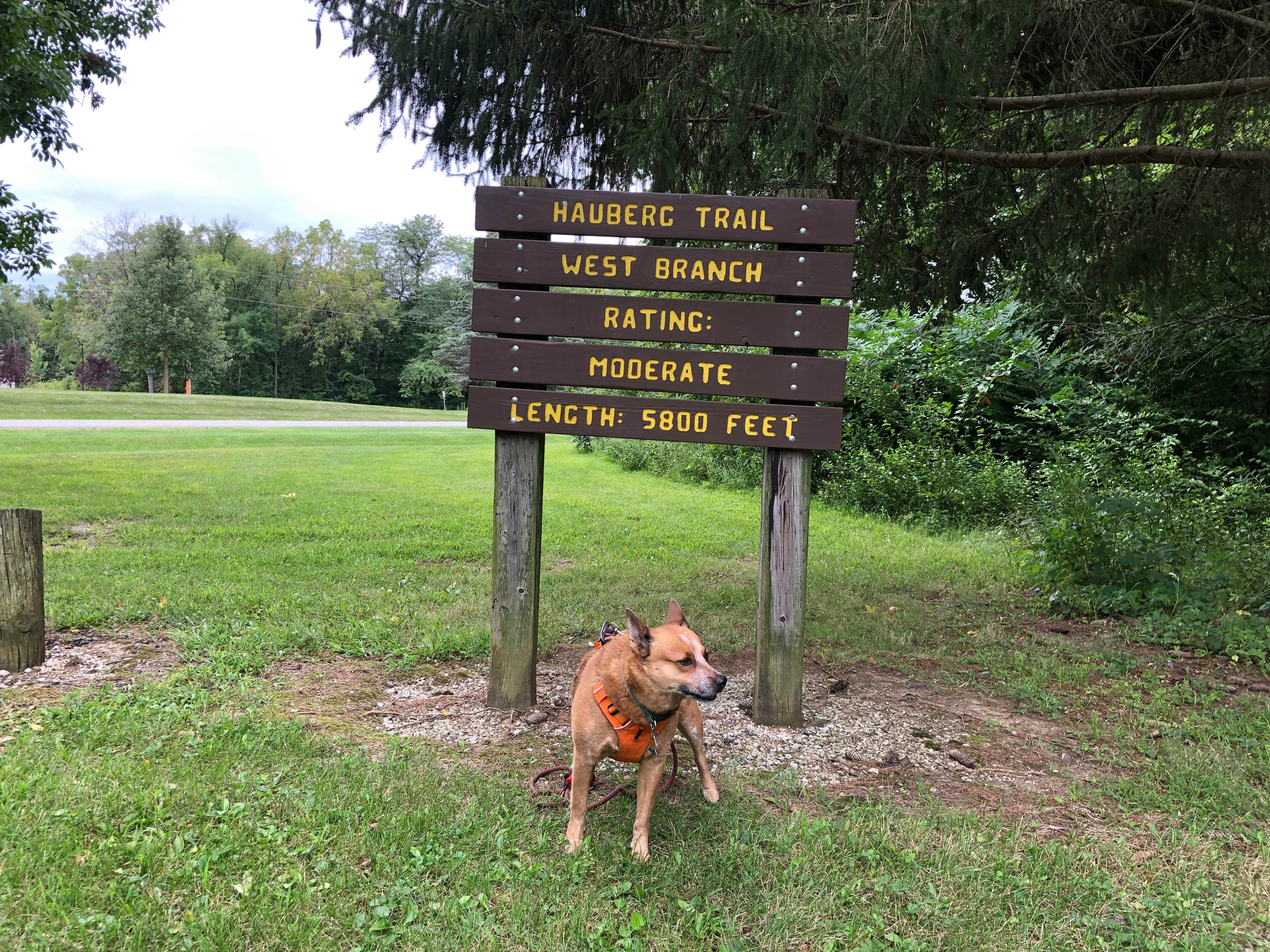 Art S.'s photo of camping with pets at Riverview Campground - Loud Thunder Forest Preserve near Columbus Junction, IA
