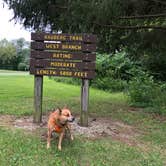 Review photo of Loud Thunder Forest Preserve by Art S., October 20, 2019