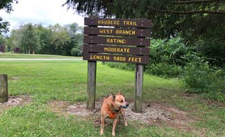 Art S.'s photo of camping with pets at Riverview Campground - Loud Thunder Forest Preserve near Columbus Junction, IA
