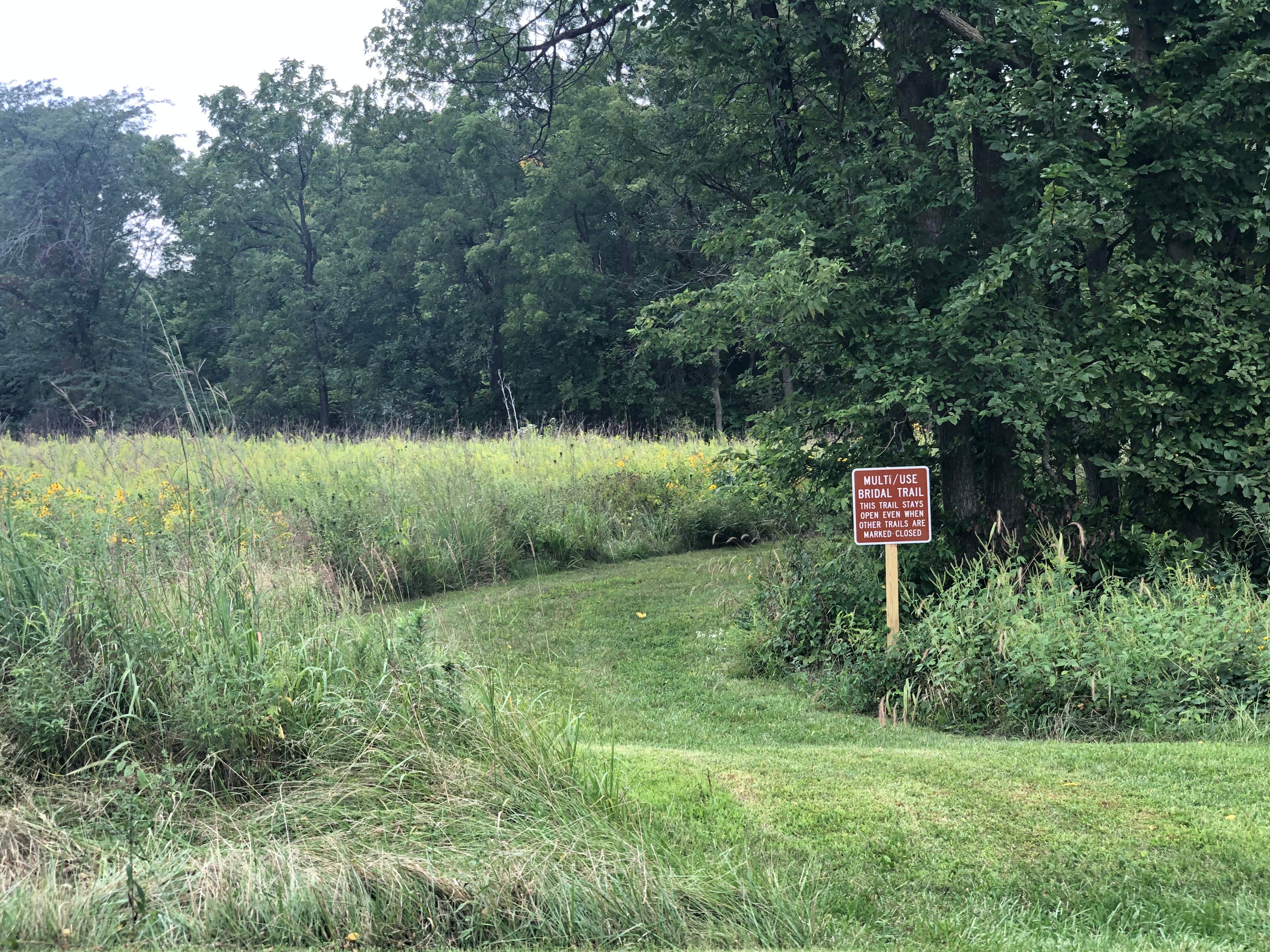Camper-submitted photo at Blanchard Island near Fruitland, IA