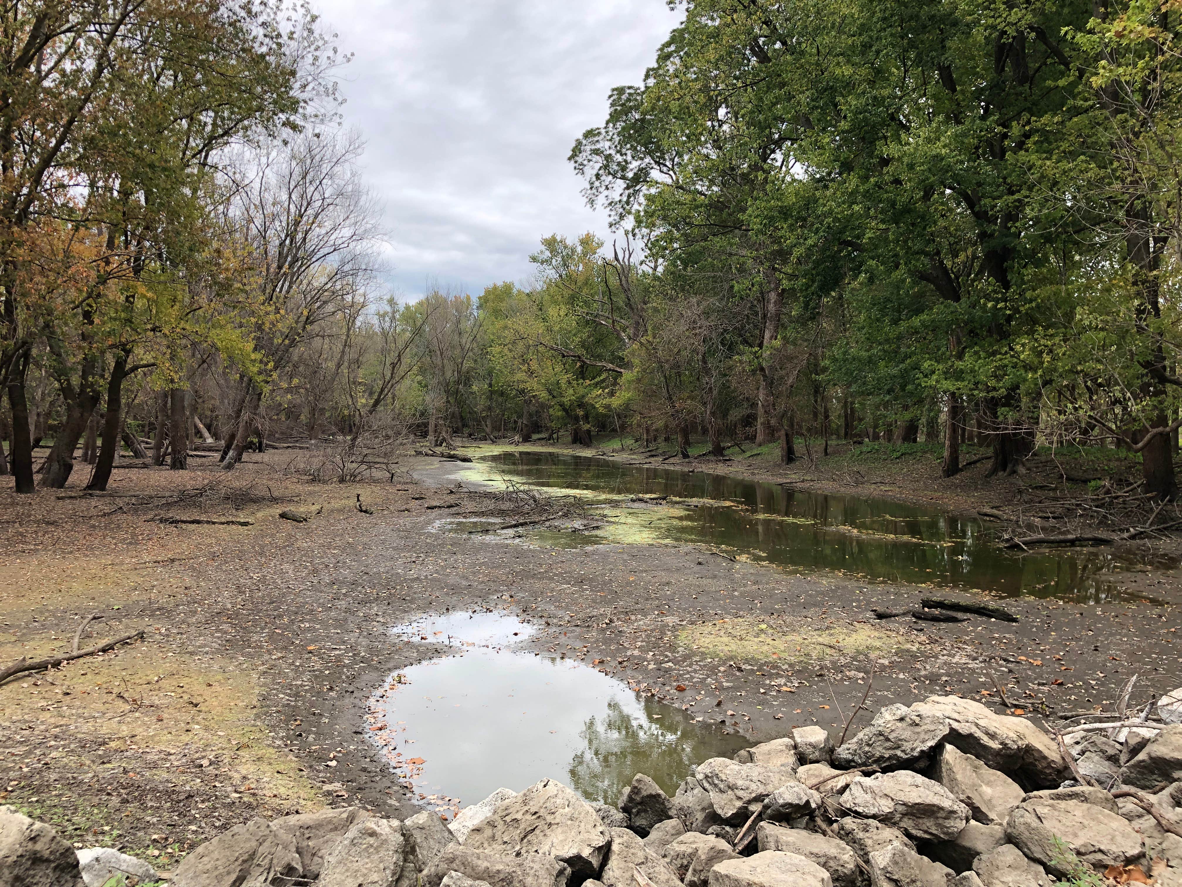 Camper-submitted photo at Blanchard Island near Fruitland, IA