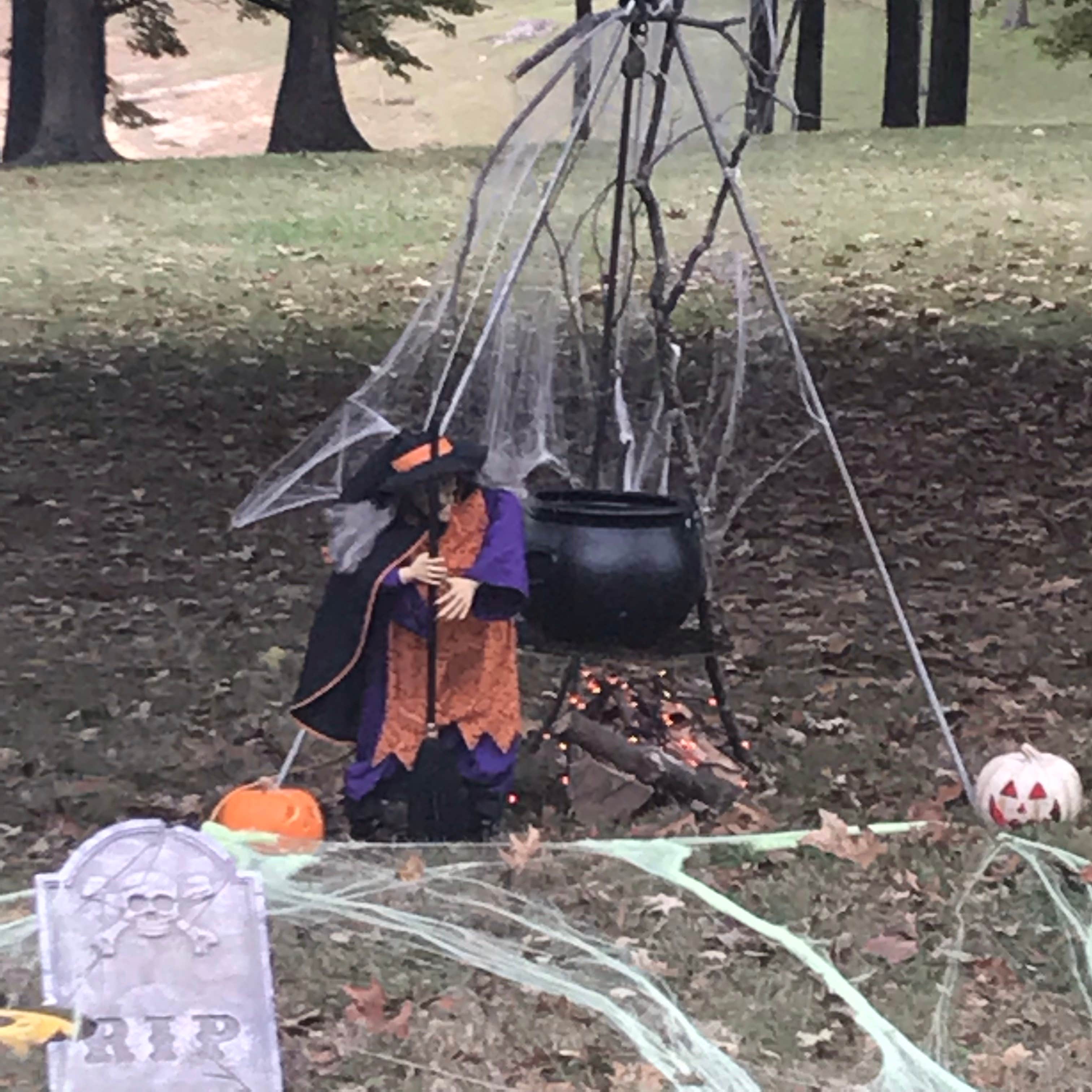 David R.'s photo at Baileys Point near Barren River Lake