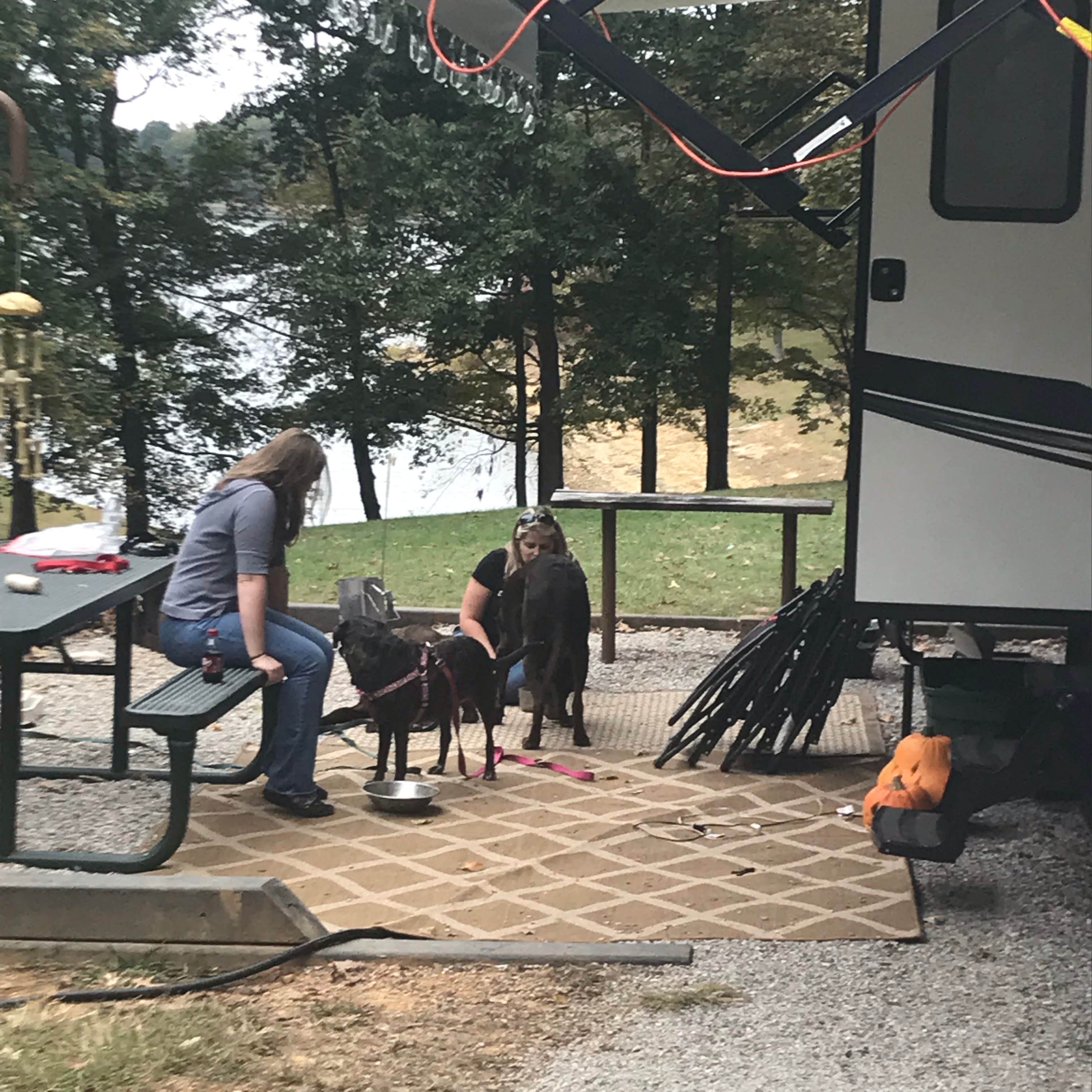 David R.'s photo of camping with pets at Baileys Point near Glasgow, KY