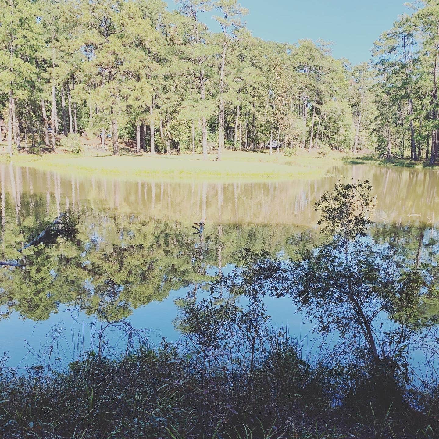 View of trail along the creek