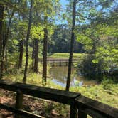 Review photo of Clear Springs Recreation Area by Jeri W., October 20, 2019
