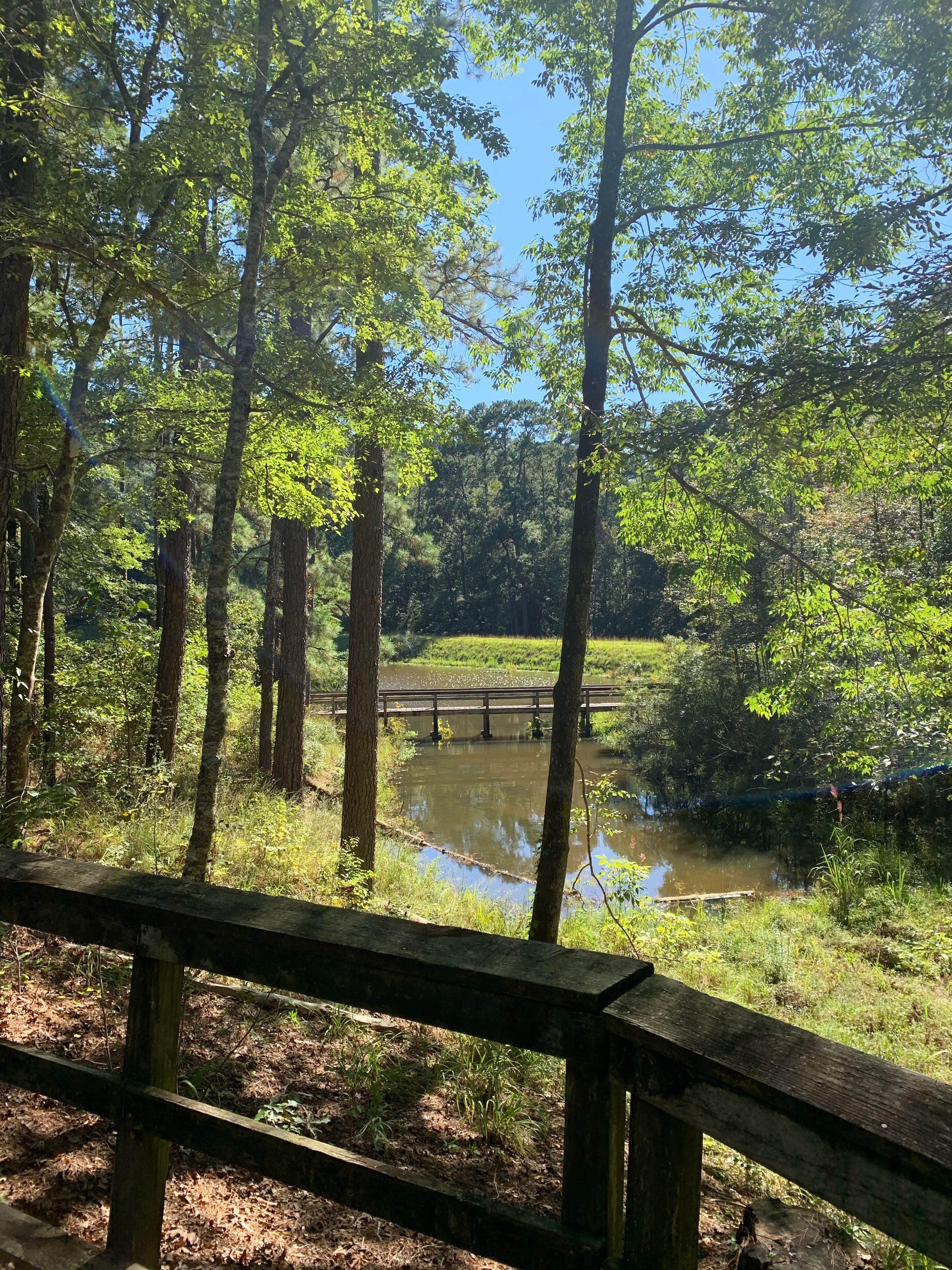 View from campsite
