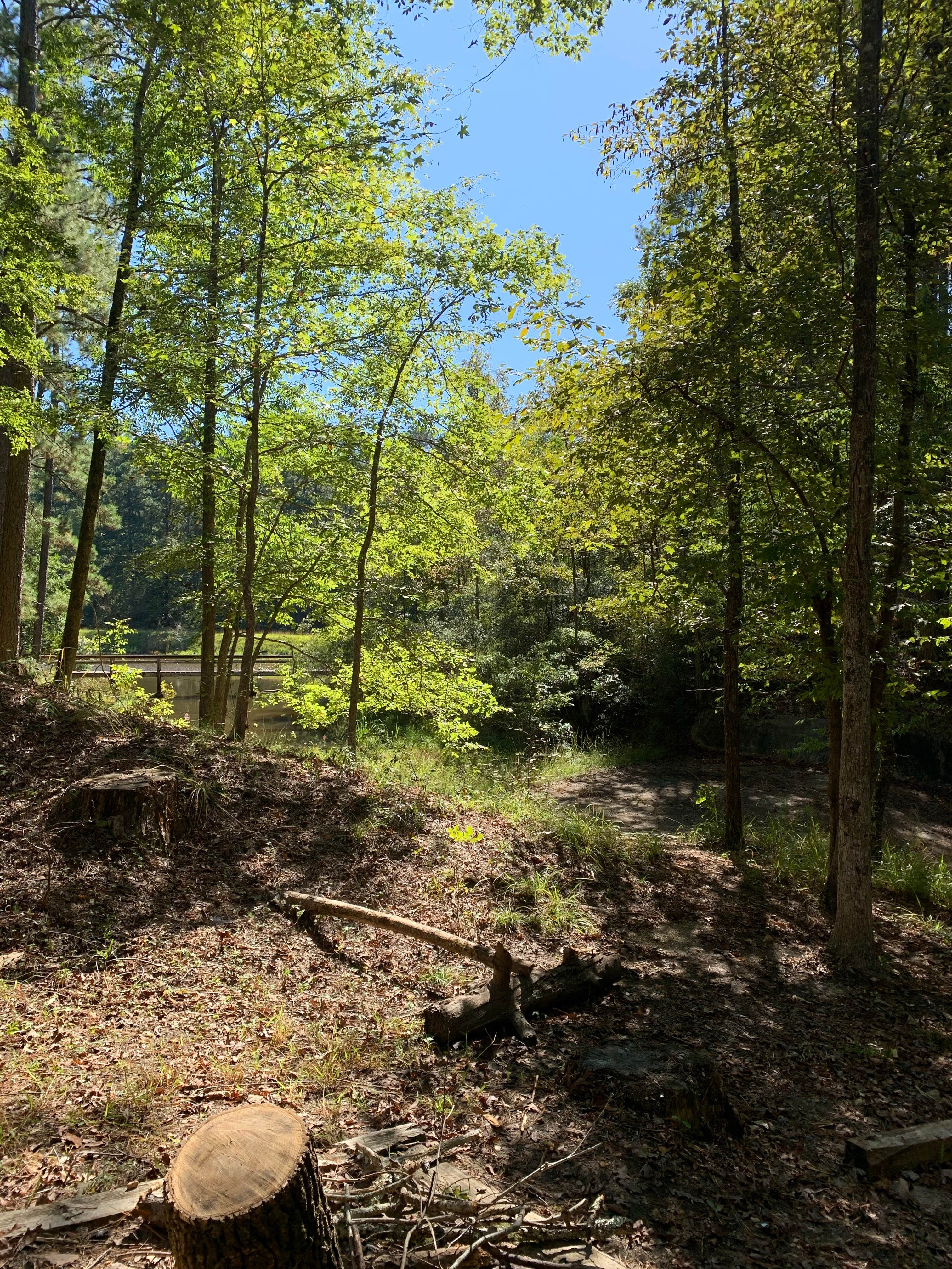 View from campsite