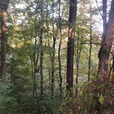 Review photo of Hueston Woods State Park Campground by Sarah H., October 20, 2019
