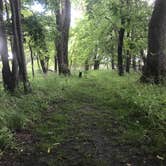 Review photo of White Fox — Myre-Big Island State Park by Dave E., August 16, 2017