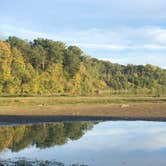 Review photo of Hueston Woods State Park Campground by Sarah H., October 20, 2019