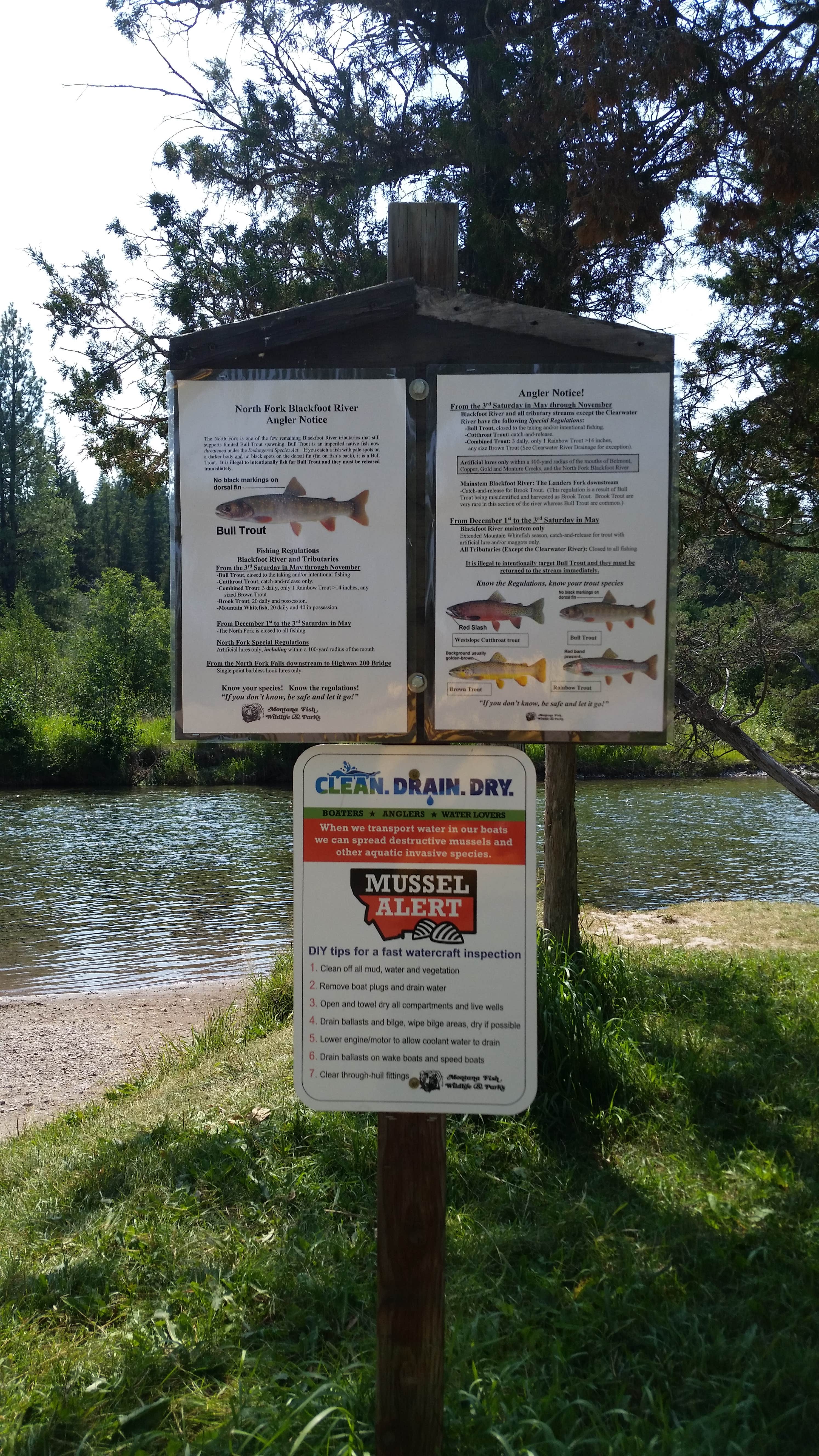 Camper-submitted photo at Harry Morgan near Ovando, MT