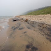 Review photo of Lake Michigan Campground at Manistee by Dave E., August 16, 2017