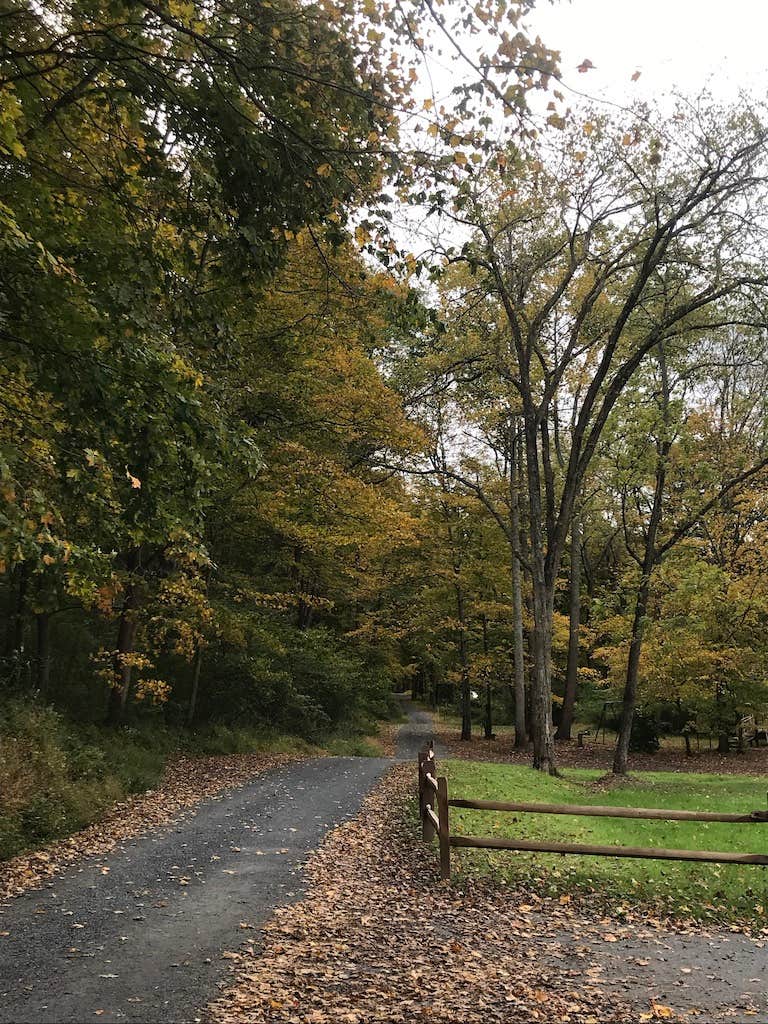 The main road through the tent camp sites.