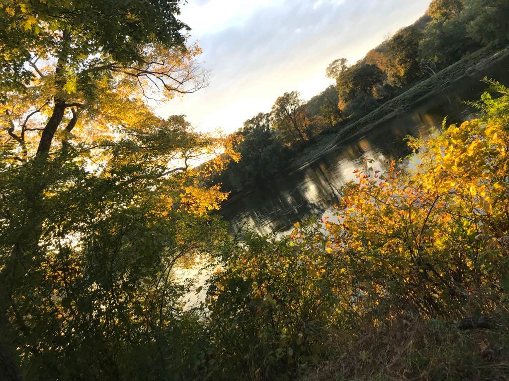 The fall sunshine was remarkable.