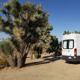 Review photo of Black Rock Campground — Joshua Tree National Park by Berton M., October 21, 2019