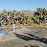 Review photo of Black Rock Campground — Joshua Tree National Park by Berton M., October 21, 2019