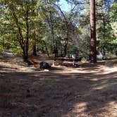 Review photo of Burnt Rancheria Campground by Richard W., October 20, 2019