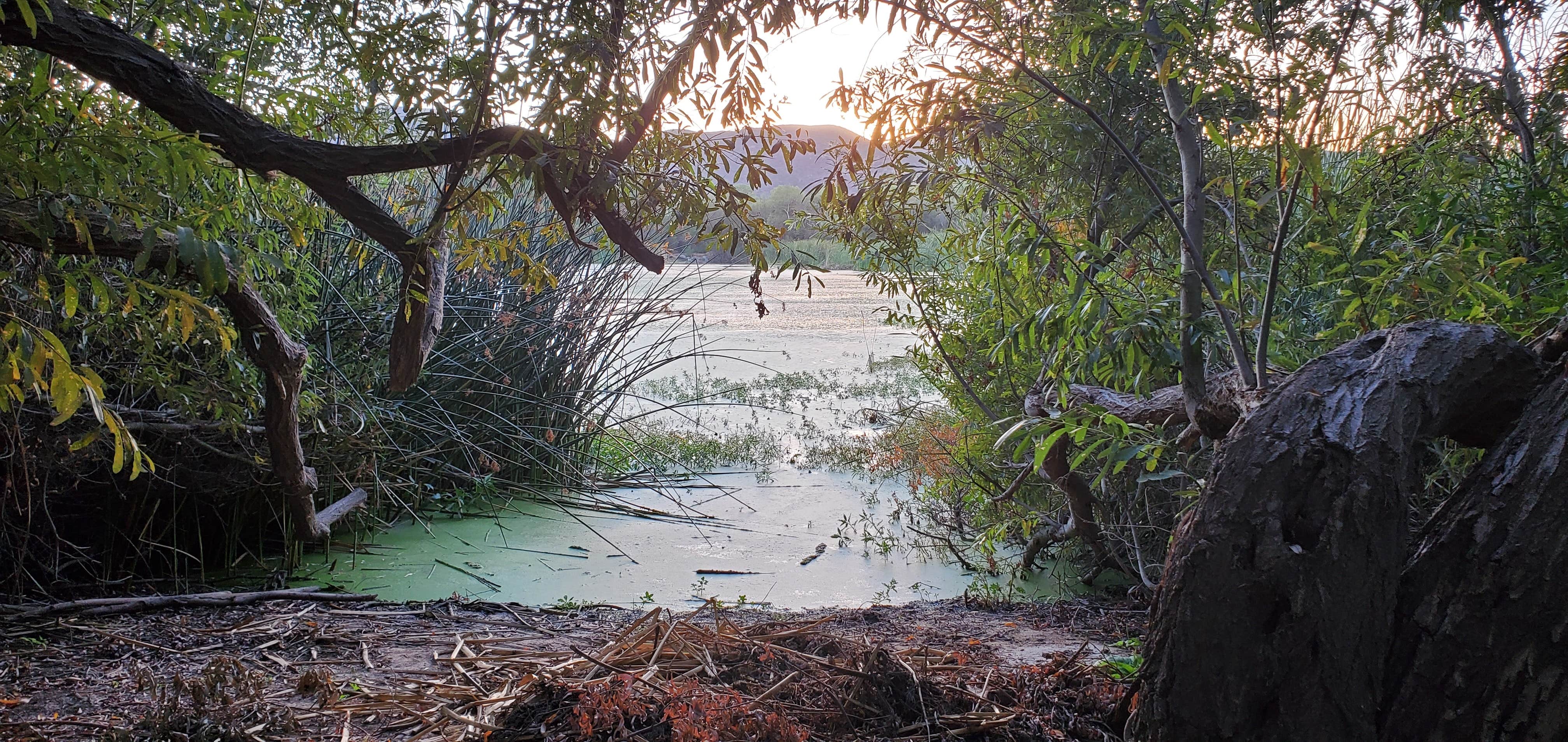 Kumeyaay Lake Campground The Dyrt
