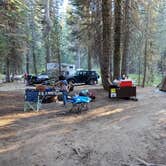 Review photo of Tamarack Flat Campground — Yosemite National Park by Jose V., October 21, 2019