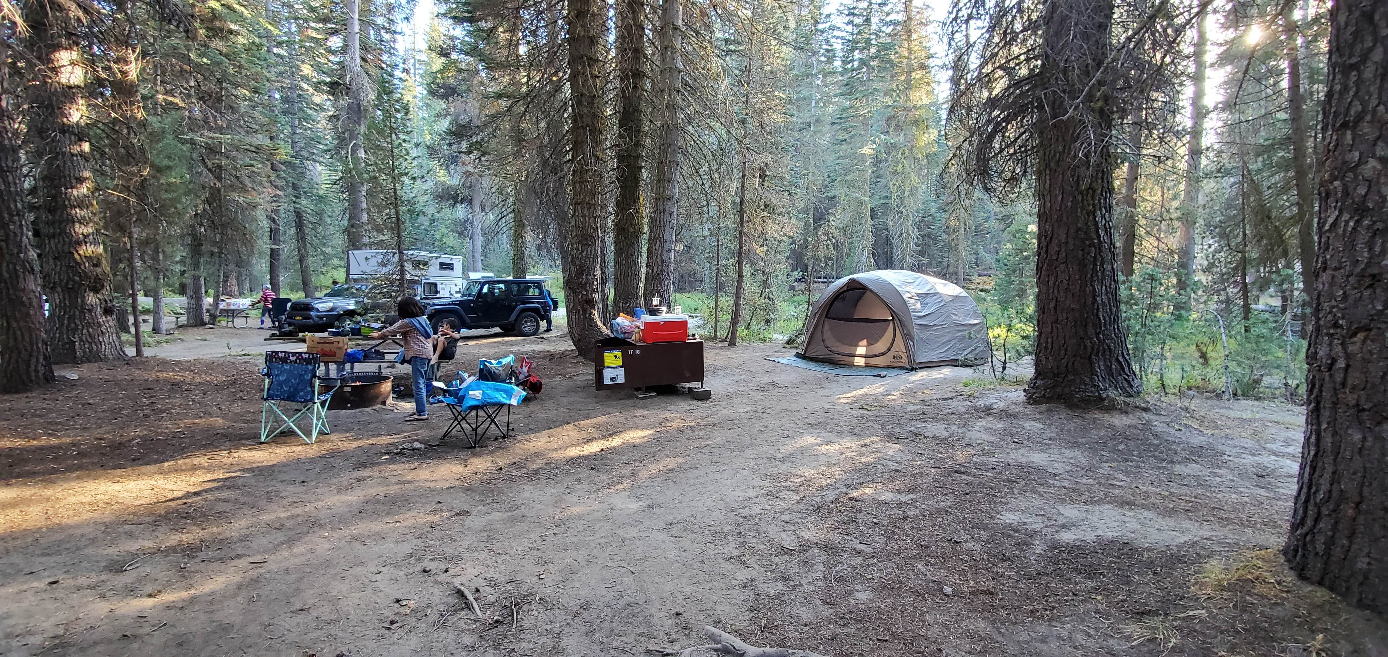 Camper submitted image from Tamarack Flat Campground - 3