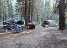 Tamarack Flat Campground