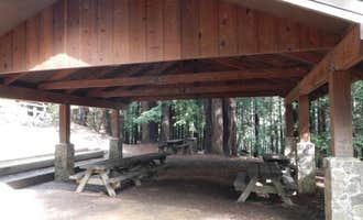 Camping near Marin RV Park: Alice Eastwood Group Camp — Mount Tamalpais State Park, Muir Woods, California