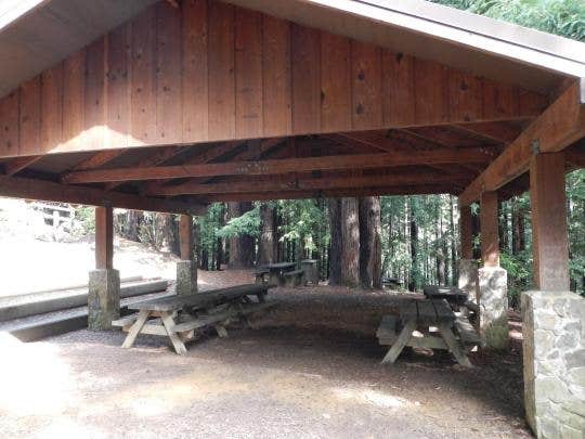 Camper submitted image from Alice Eastwood Group Camp — Mount Tamalpais State Park - 1