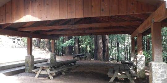 Camper submitted image from Alice Eastwood Group Camp — Mount Tamalpais State Park