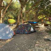 Review photo of Santa Cruz Island Scorpion Canyon Campground — Channel Islands National Park by Meesh C., October 21, 2019