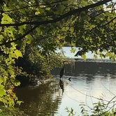 Review photo of Trap Pond State Park by Lucia B., October 21, 2019