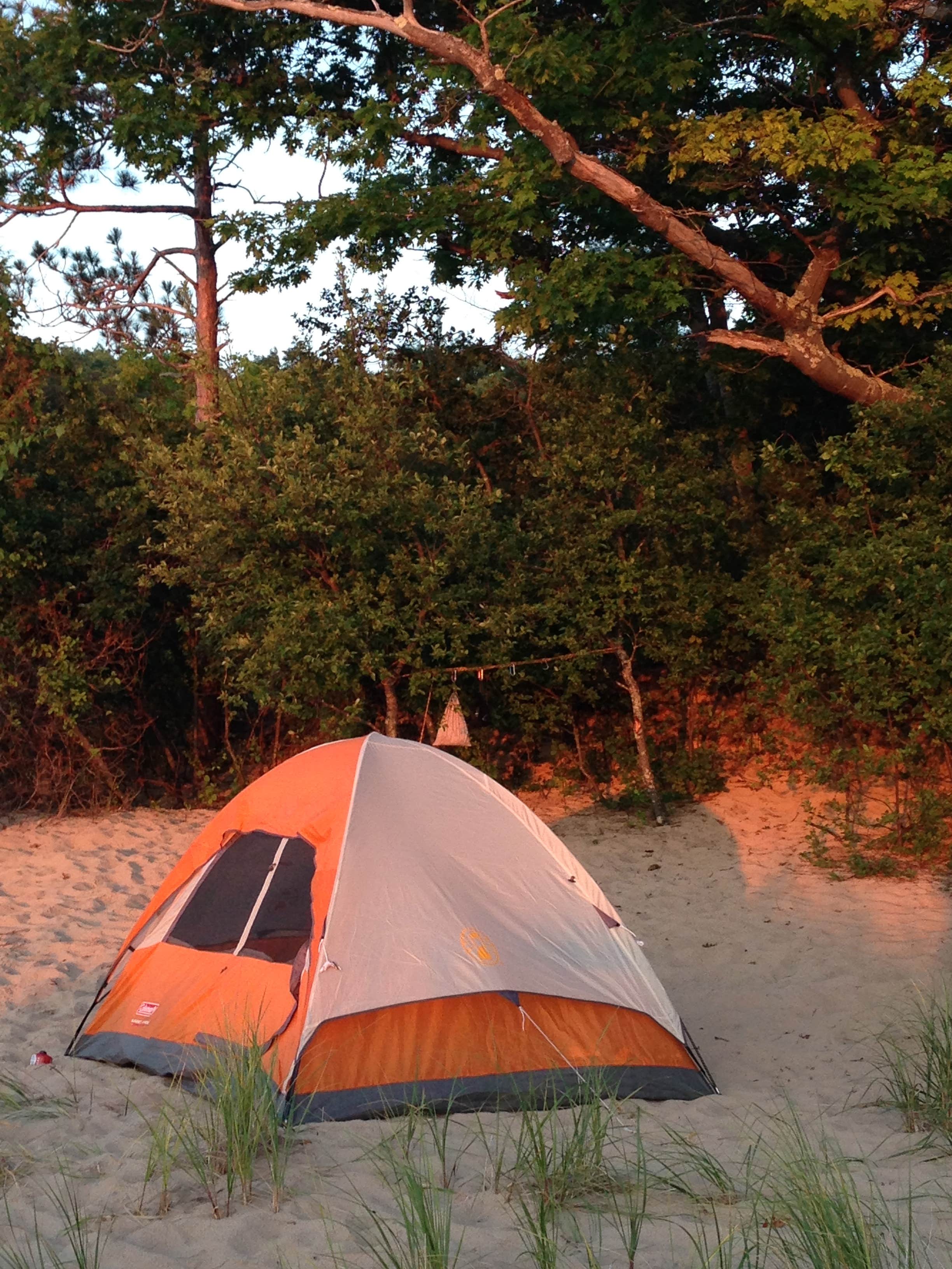 Camper submitted image from Lake Michigan Recreation Area - 3