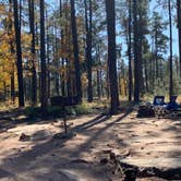 Review photo of Aspen Campground by Emily Z., October 21, 2019