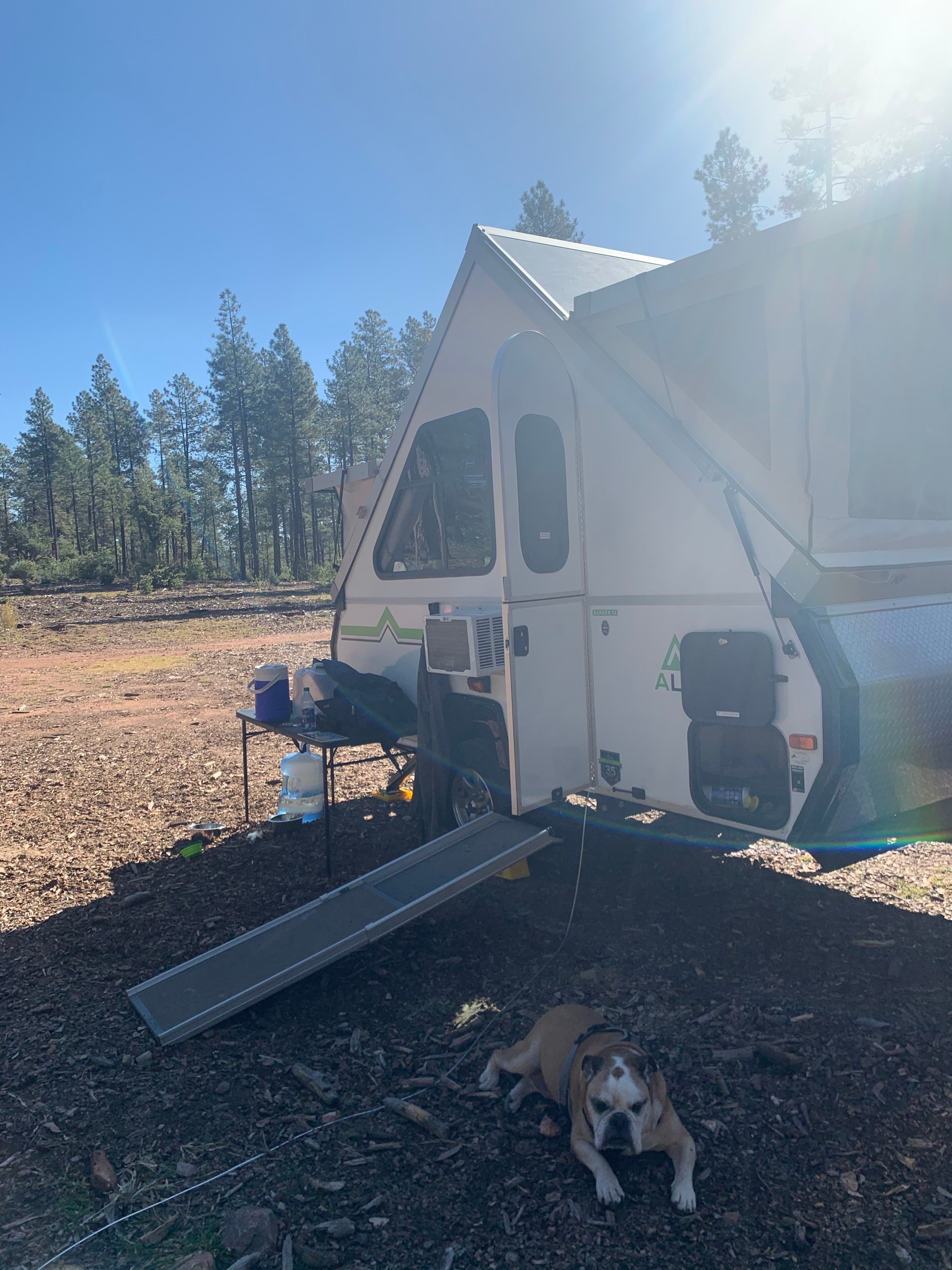 Camper submitted image from Control Road - Dispersed Camping - 3
